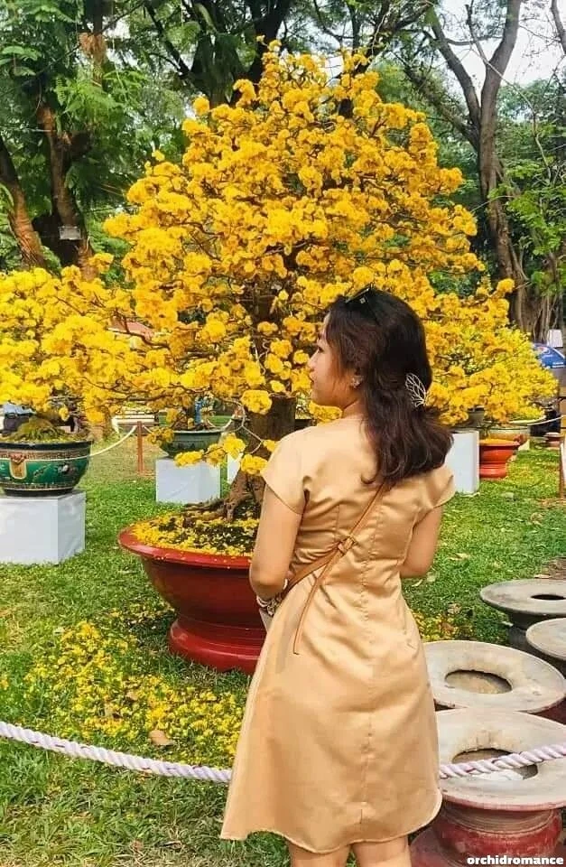 Cindy, 30